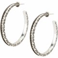 Secret of Love Hoop Earrings