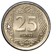 TÜRK PARASI