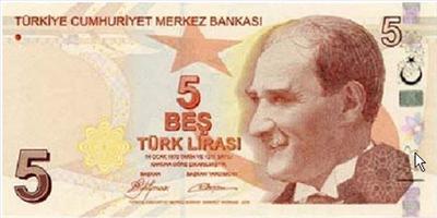 TÜRK PARASI