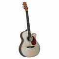 Guitar Two