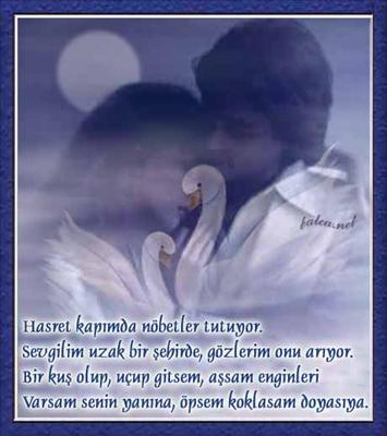 kalp