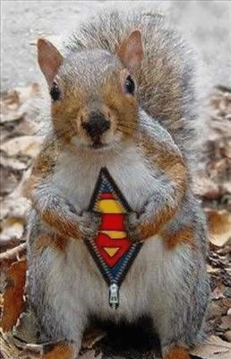 SUPER SQUIERELL!!