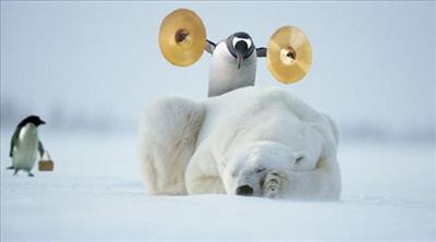 BAD PENGUIN!!