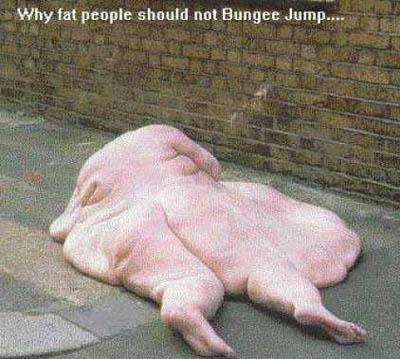 FAT FLAT!!