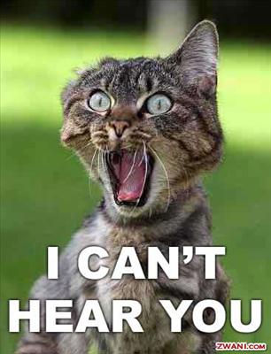 DEAF CAT!!
