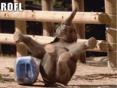 ROFL!!!