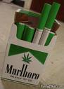 Menthol's