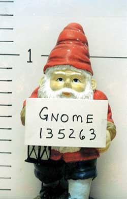 Jailbird Gnome