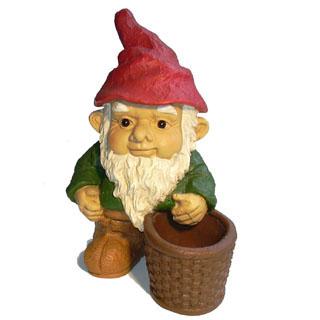 Midget Gnome
