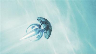 Jellyfish