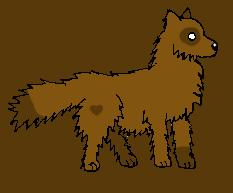 Chocolate dog 