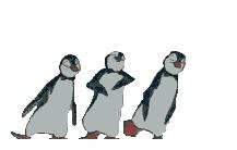 PENGUINS :D