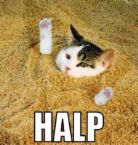 halp!