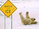 watch 4 ice