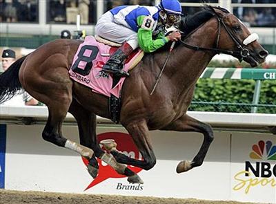 Thoroughbred
