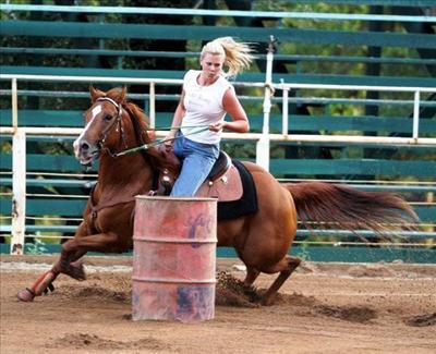 Quarter Horse