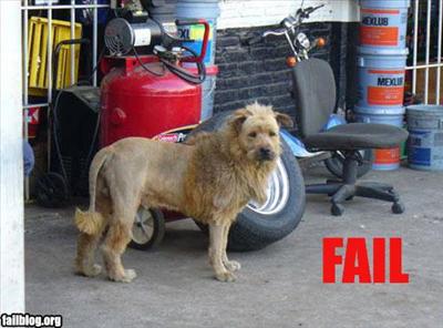 Lion? (Fail)