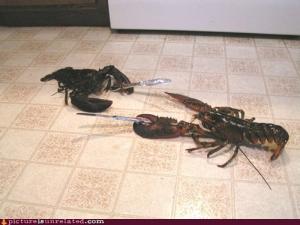 Lobsters & Their Knives