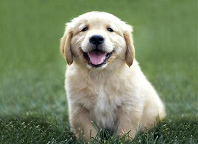 Cuteness
