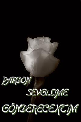 PARDON SEVGİLİME GÖNDERECEKTİM
