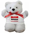 teddy bear