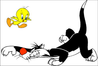 tweety......