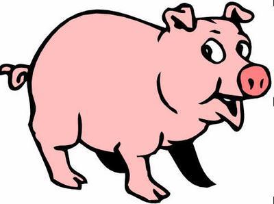 Swine Flu