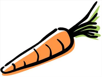carrot