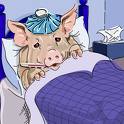 sick as a swine