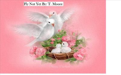 Fly Not Yet