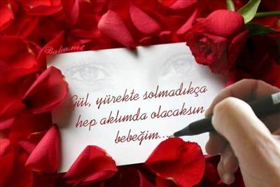 Sevgi