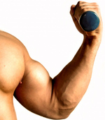 Biceps curl