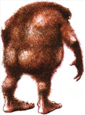 Yeti Booty