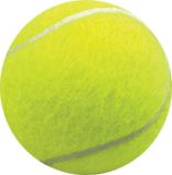 tenis topu