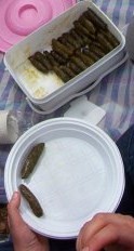 Sarma
