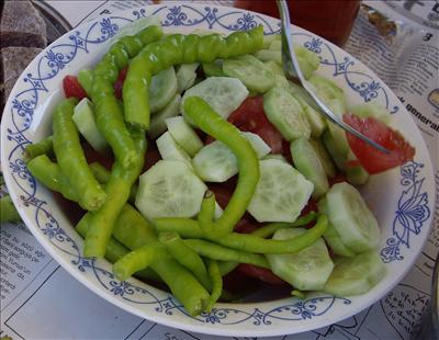 Salata Tabağı