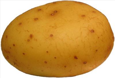 Haşlanmış Patates