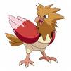 spearow