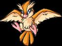 pidgey