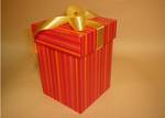 Birthday Gift