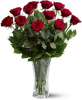 one dozen roses