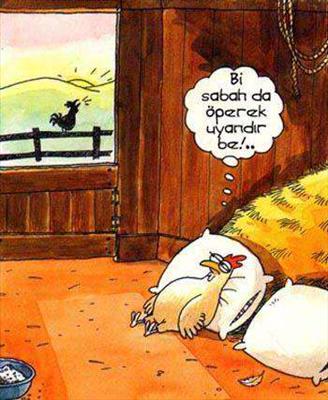 KARİKATÜR