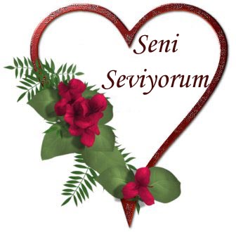 seni seviyorum 