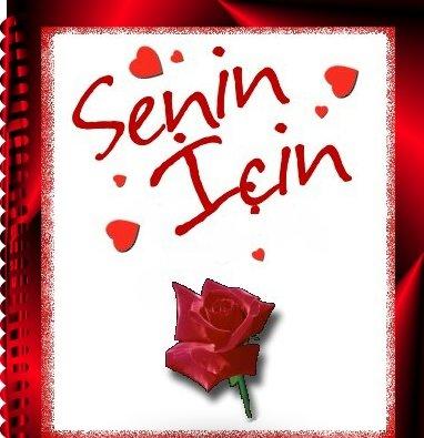 gül 