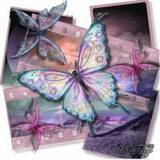 Butterflys