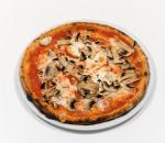 Funghi