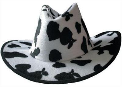 Cowboy hat