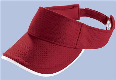 Visor