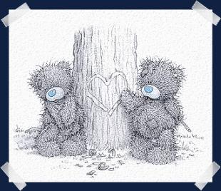 teddy bears
