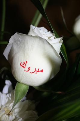 Mabrook
